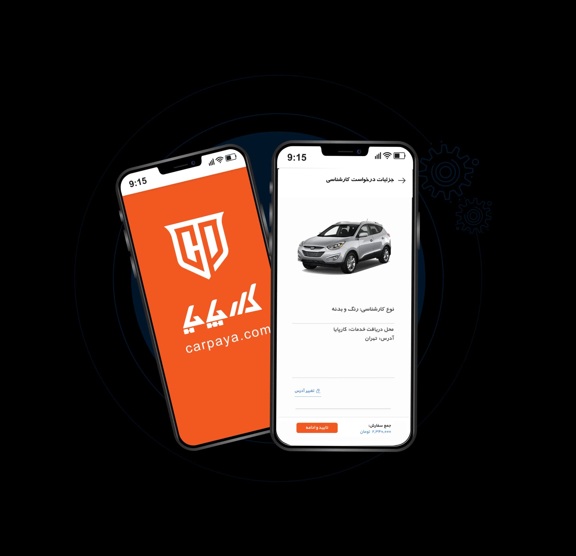 bachelor steps banner